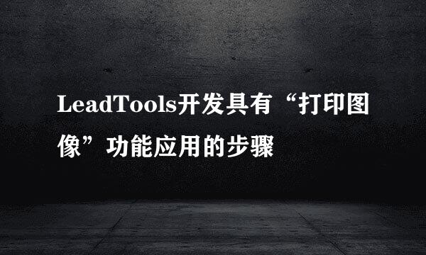 LeadTools开发具有“打印图像”功能应用的步骤