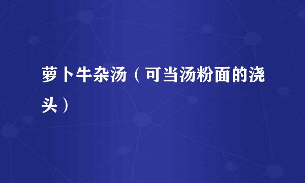 萝卜牛杂汤（可当汤粉面的浇头）