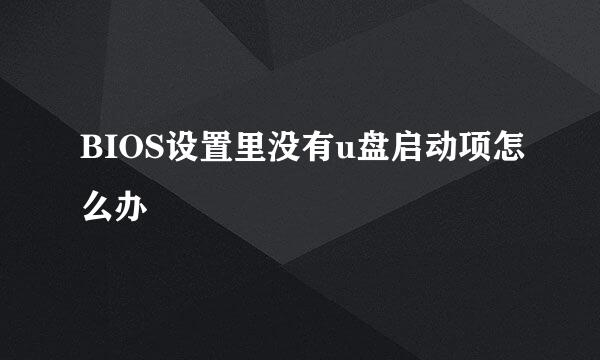 BIOS设置里没有u盘启动项怎么办