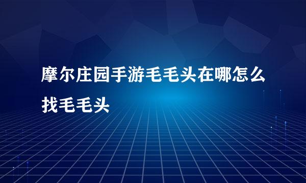 摩尔庄园手游毛毛头在哪怎么找毛毛头