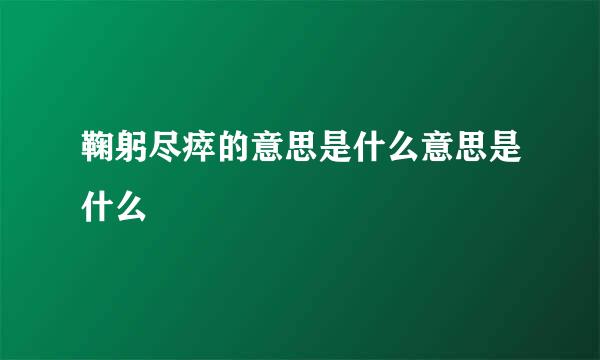 鞠躬尽瘁的意思是什么意思是什么