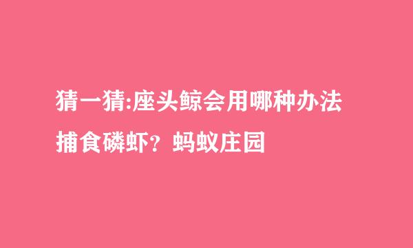 猜一猜:座头鲸会用哪种办法捕食磷虾？蚂蚁庄园