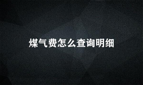 煤气费怎么查询明细