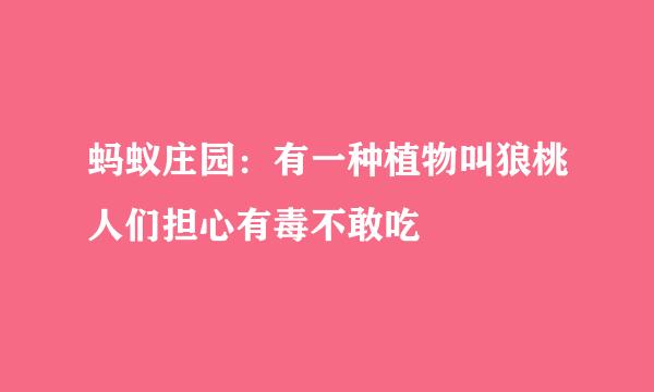 蚂蚁庄园：有一种植物叫狼桃人们担心有毒不敢吃