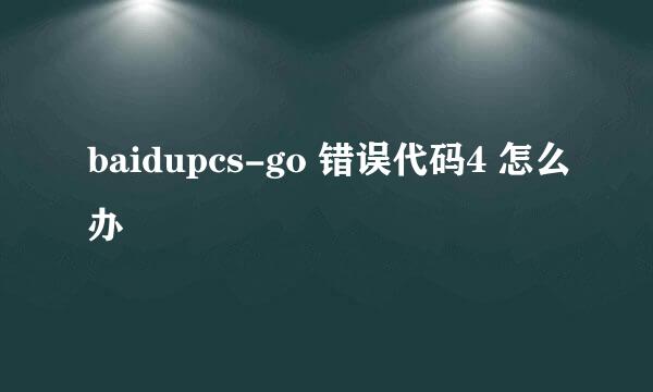 baidupcs-go 错误代码4 怎么办