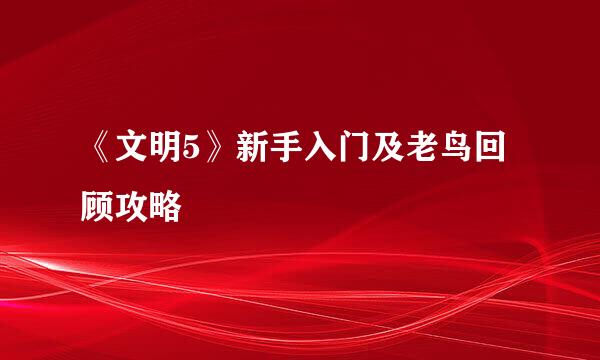 《文明5》新手入门及老鸟回顾攻略