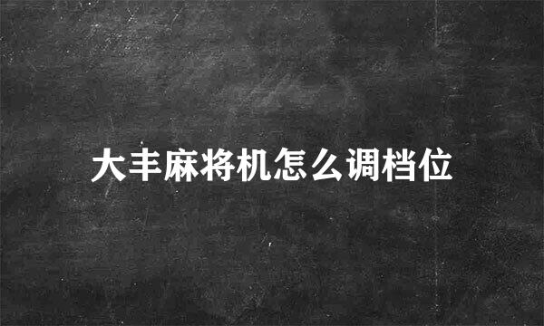 大丰麻将机怎么调档位