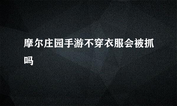 摩尔庄园手游不穿衣服会被抓吗