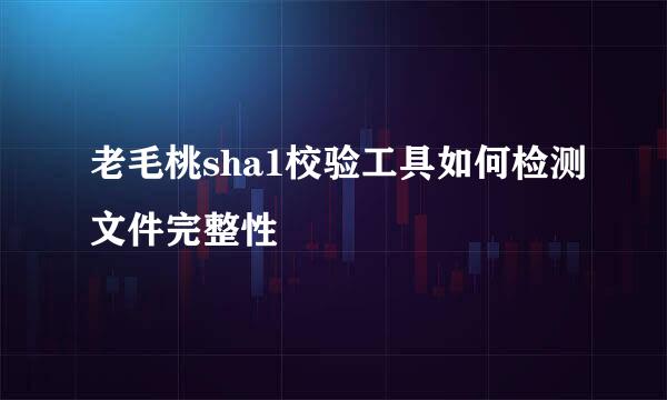 老毛桃sha1校验工具如何检测文件完整性