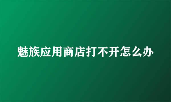 魅族应用商店打不开怎么办