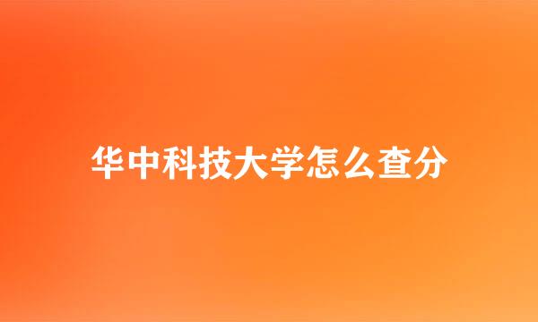 华中科技大学怎么查分