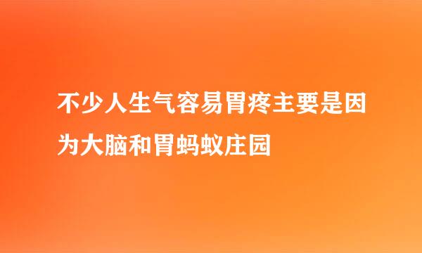 不少人生气容易胃疼主要是因为大脑和胃蚂蚁庄园