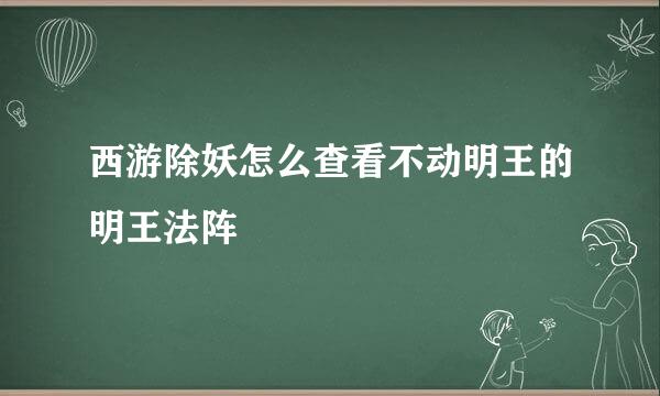 西游除妖怎么查看不动明王的明王法阵