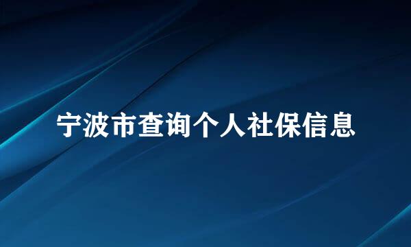 宁波市查询个人社保信息