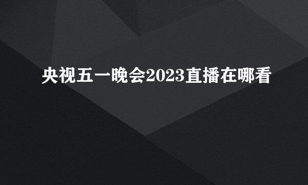 央视五一晚会2023直播在哪看