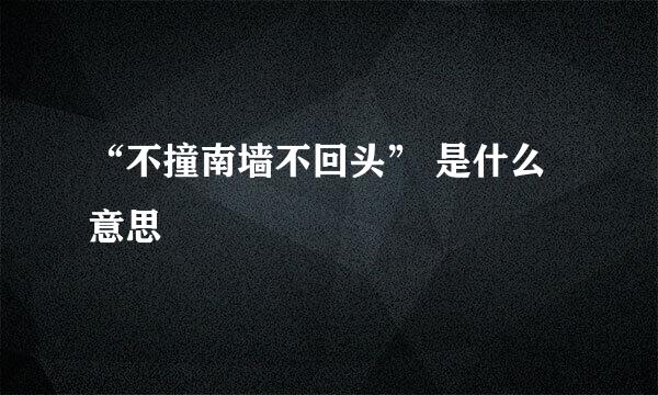 “不撞南墙不回头” 是什么意思