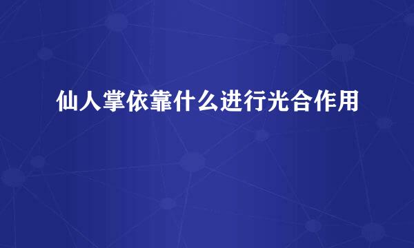 仙人掌依靠什么进行光合作用