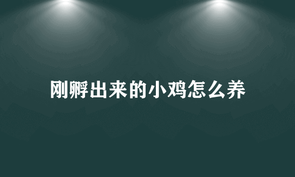 刚孵出来的小鸡怎么养