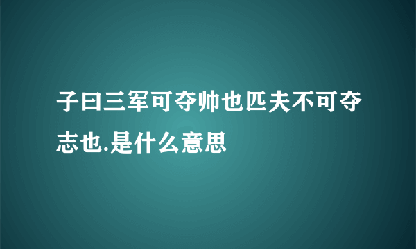 子曰三军可夺帅也匹夫不可夺志也.是什么意思