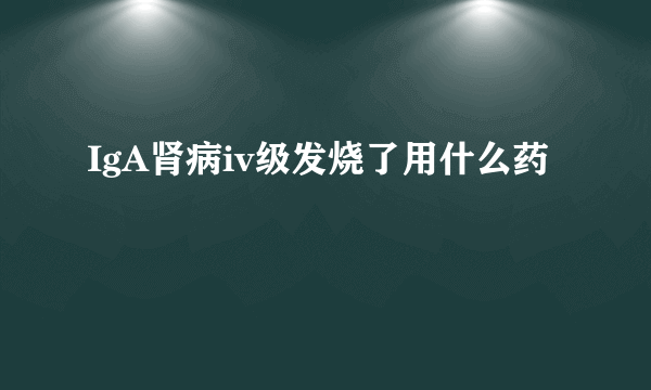 IgA肾病iv级发烧了用什么药