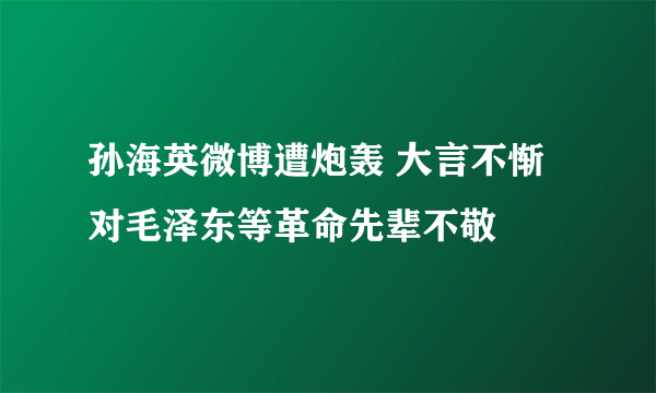 孙海英微博遭炮轰 大言不惭对毛泽东等革命先辈不敬