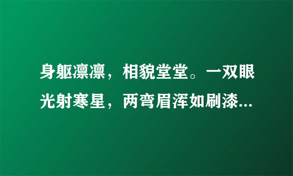 身躯凛凛，相貌堂堂。一双眼光射寒星，两弯眉浑如刷漆。胸脯横阔，有万夫难敌之威风。这句话写的是谁