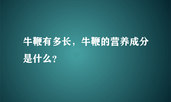 牛鞭有多长，牛鞭的营养成分是什么？