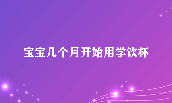 宝宝几个月开始用学饮杯