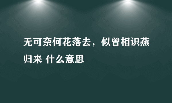 无可奈何花落去，似曾相识燕归来 什么意思