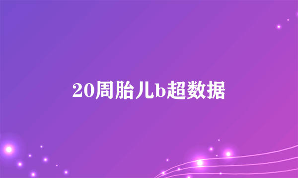 20周胎儿b超数据