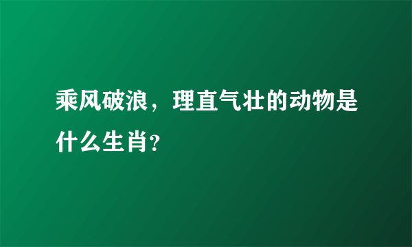 乘风破浪，理直气壮的动物是什么生肖？