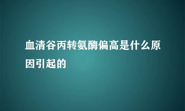 血清谷丙转氨酶偏高是什么原因引起的