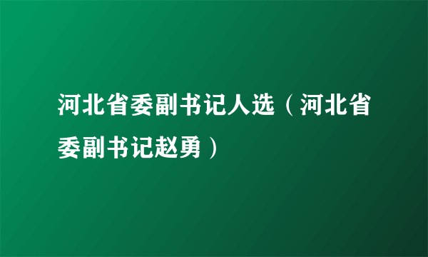 河北省委副书记人选（河北省委副书记赵勇）