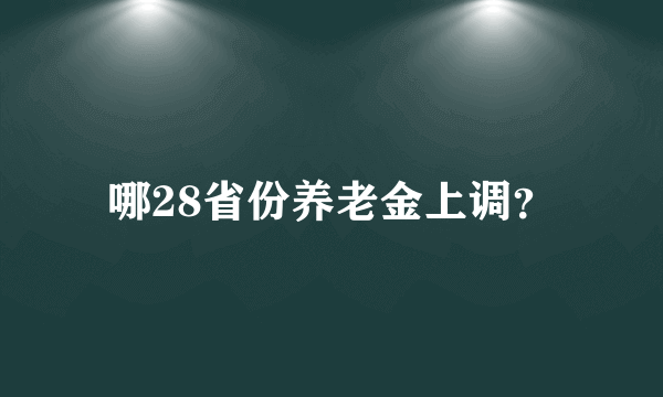 哪28省份养老金上调？