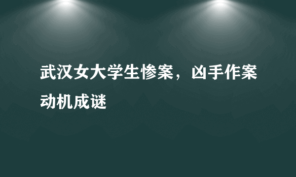 武汉女大学生惨案，凶手作案动机成谜 