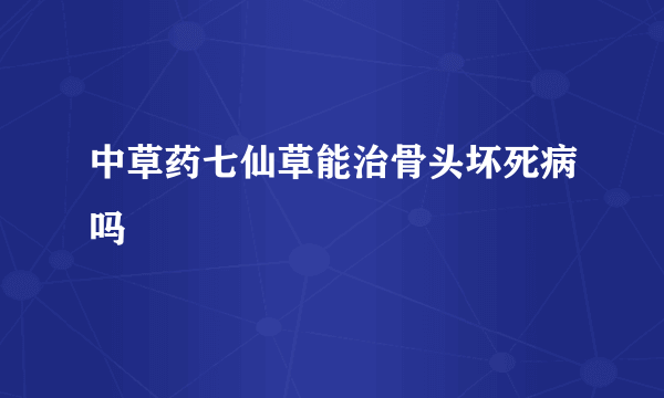 中草药七仙草能治骨头坏死病吗