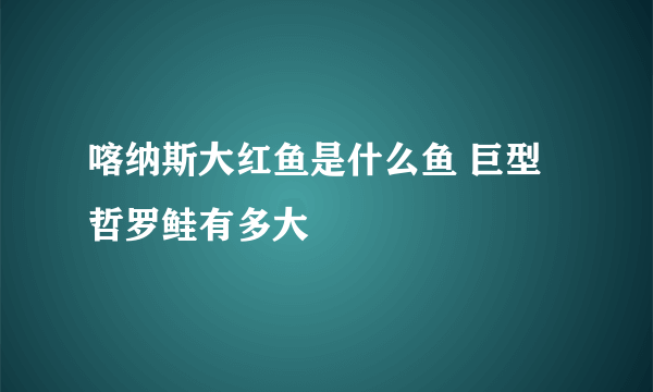 喀纳斯大红鱼是什么鱼 巨型哲罗鲑有多大