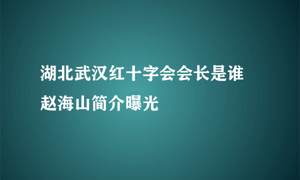 湖北武汉红十字会会长是谁 赵海山简介曝光