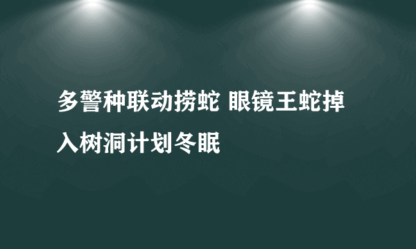 多警种联动捞蛇 眼镜王蛇掉入树洞计划冬眠