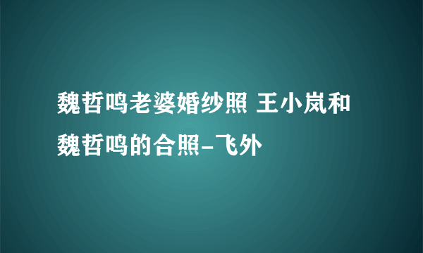 魏哲鸣老婆婚纱照 王小岚和魏哲鸣的合照-飞外