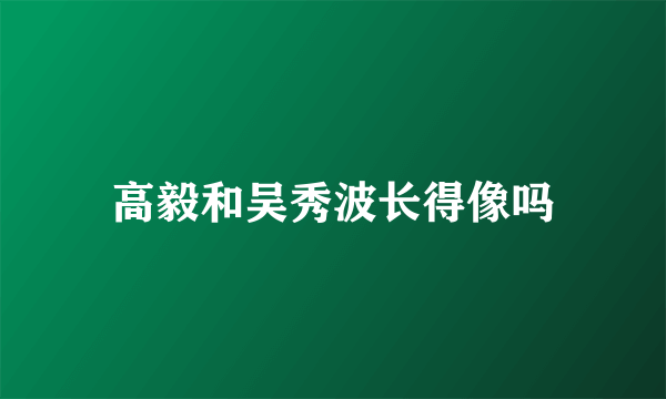 高毅和吴秀波长得像吗