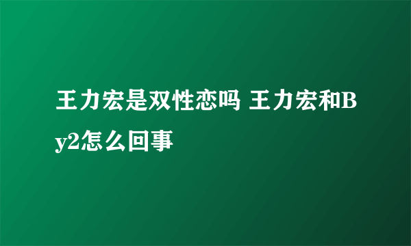 王力宏是双性恋吗 王力宏和By2怎么回事