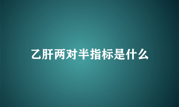 乙肝两对半指标是什么