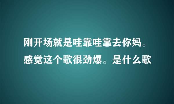 刚开场就是哇靠哇靠去你妈。感觉这个歌很劲爆。是什么歌