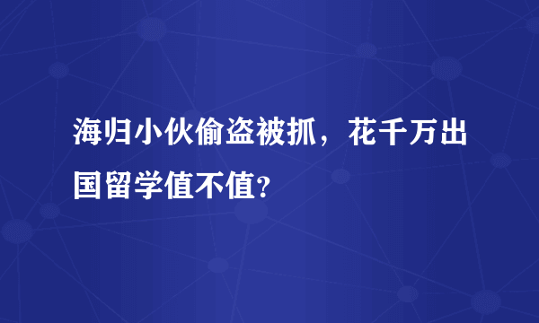 海归小伙偷盗被抓，花千万出国留学值不值？