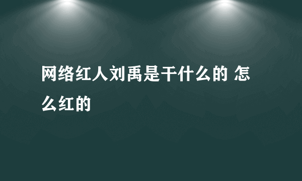 网络红人刘禹是干什么的 怎么红的