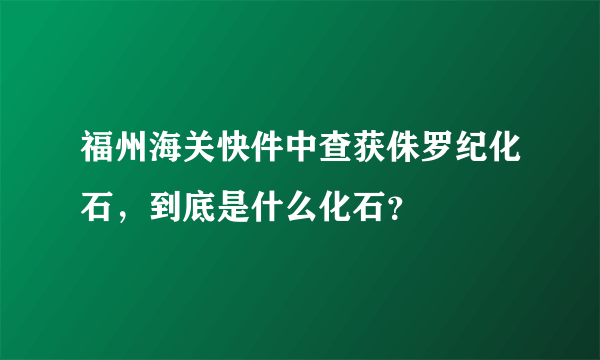 福州海关快件中查获侏罗纪化石，到底是什么化石？