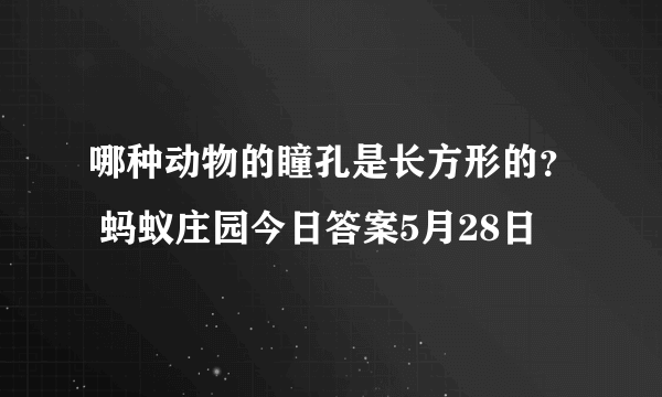 哪种动物的瞳孔是长方形的？ 蚂蚁庄园今日答案5月28日