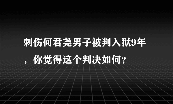 刺伤何君尧男子被判入狱9年，你觉得这个判决如何？