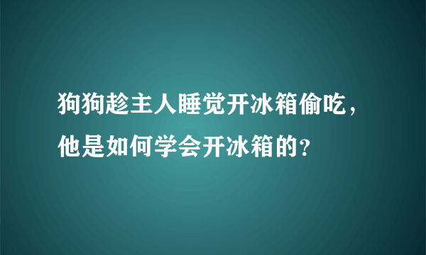 狗狗趁主人睡觉开冰箱偷吃，他是如何学会开冰箱的？